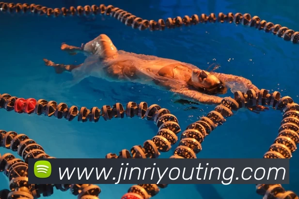 爱游戏体育平台生态图